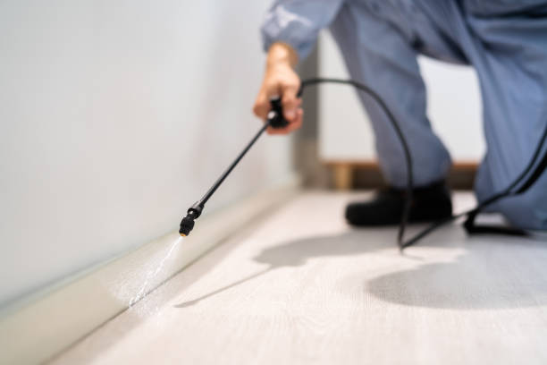 Bed Bug Pre-Treatment Preparation Assessment in Delta